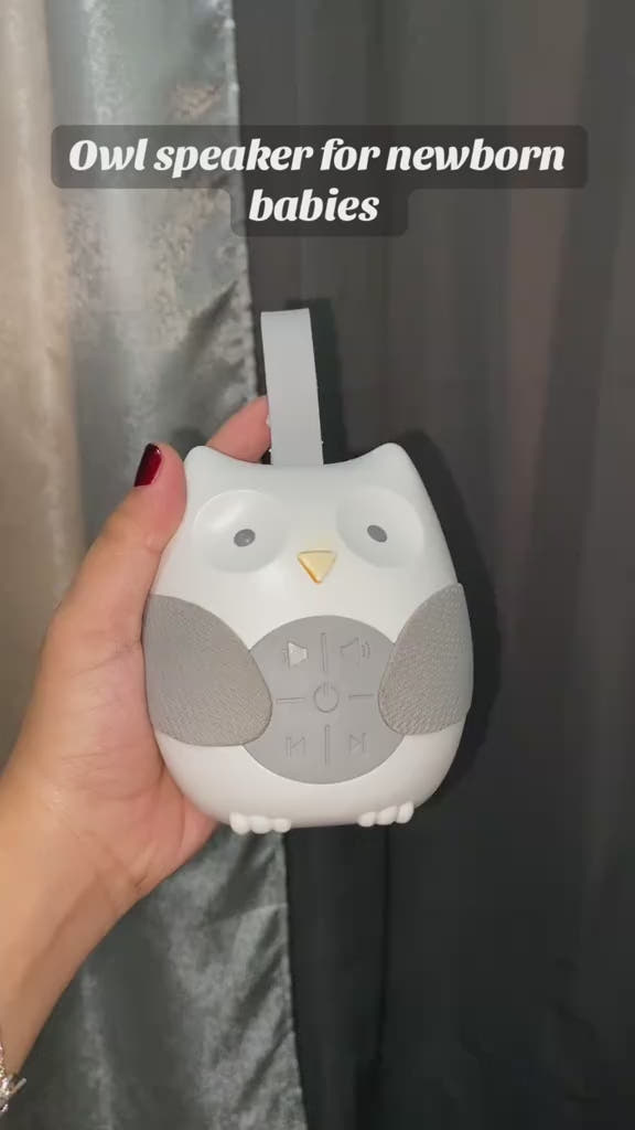 Stroll & Go Portable Sound Soother™